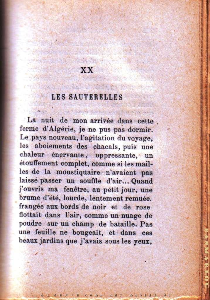 les sauterelles 01.jpg - LEAD Technologies Inc. V1.01